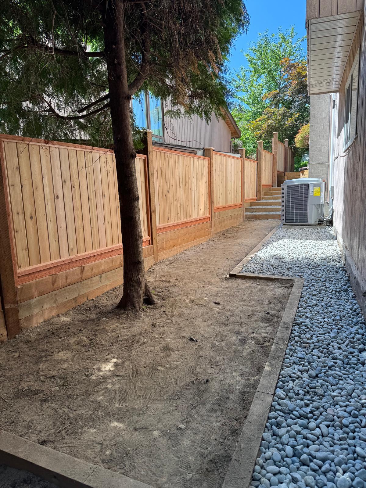 Backyard after cedar fence replacement